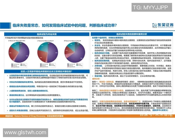 成都排球队技术分析与战术创新的深度探讨与展望