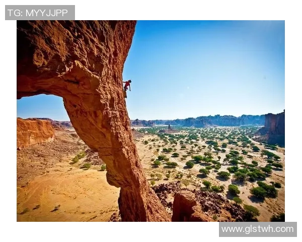 极限运动会积分榜揭晓上海攀岩队以71分稳居第一名